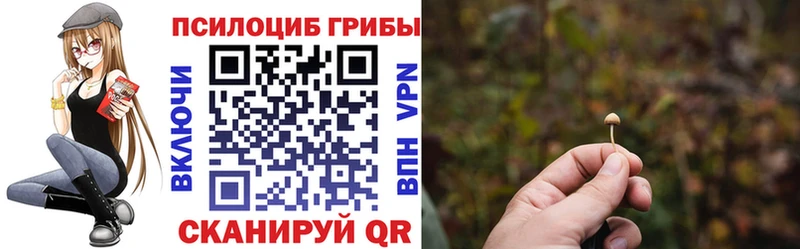 Галлюциногенные грибы Cubensis ссылка на мегу зеркало Удомля