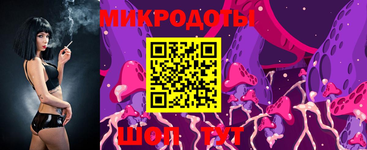 Галлюциногенные грибы Psilocybe Удомля