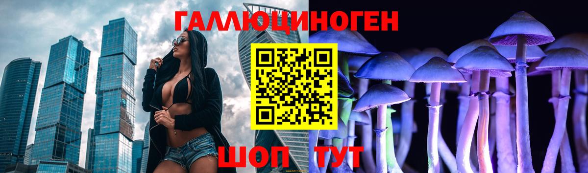 хочу   Вход с VPN  Удомля  Галлюциногенные грибы MAGIC MUSHROOMS 